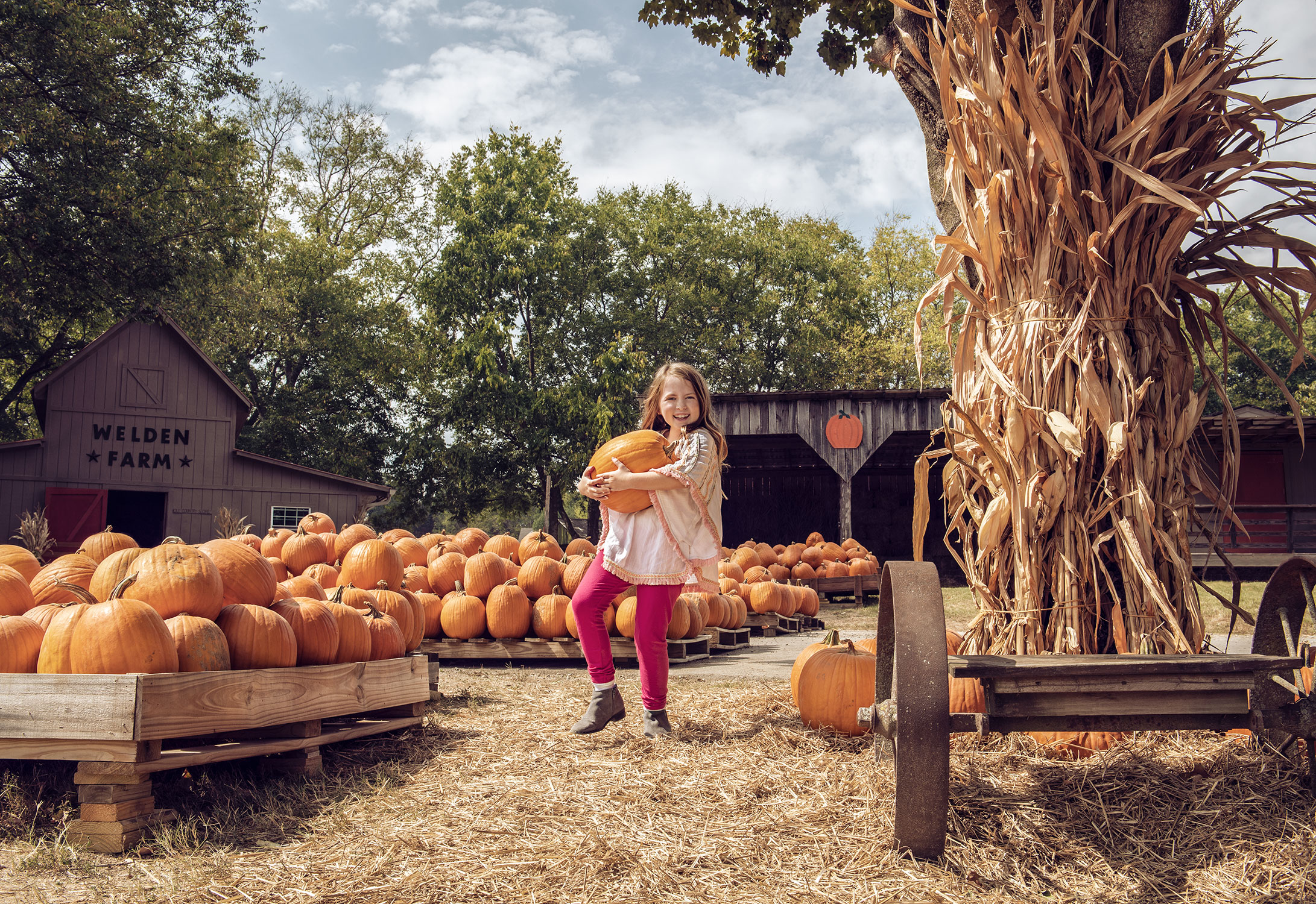 PumpkinPatch1Web