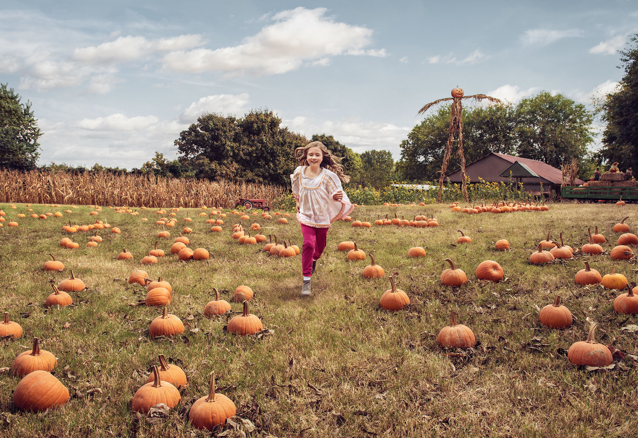 PumpkinPatch2Web